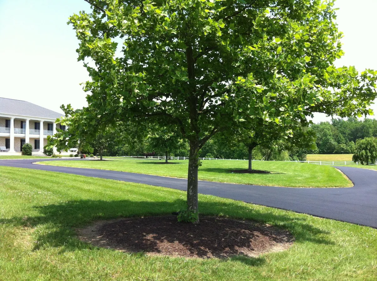 Professional Asphalt Paving Contractor in Richmond, VA
